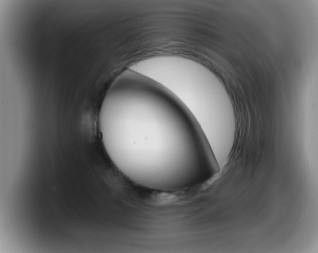 X0000099480180200805090840