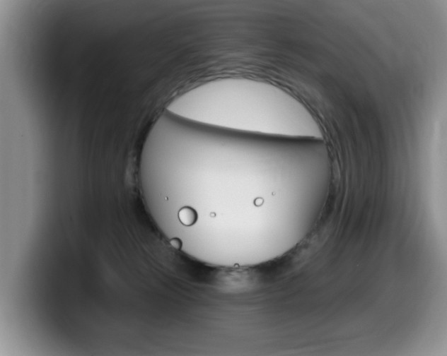 X0000099480181200805090840