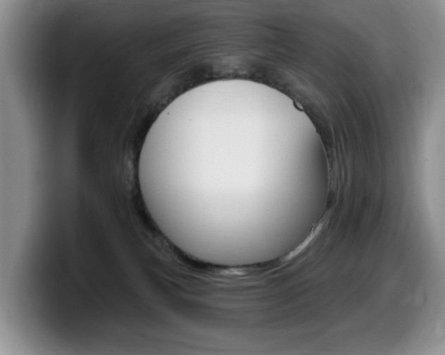 X0000099480183200805090840