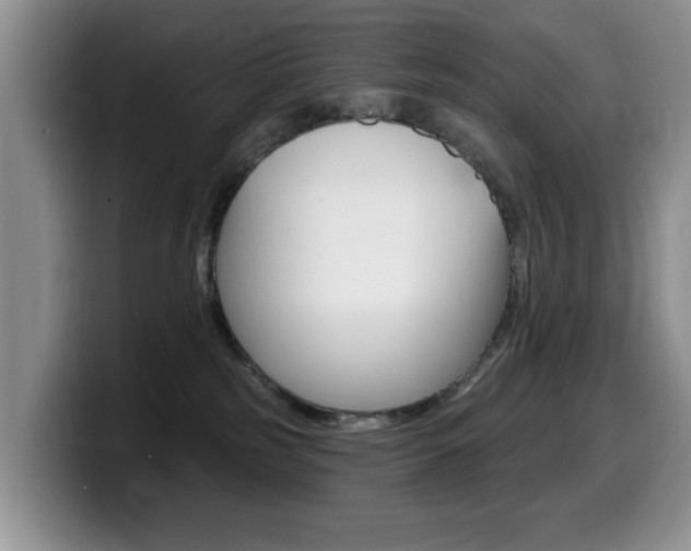 X0000099480185200805090840