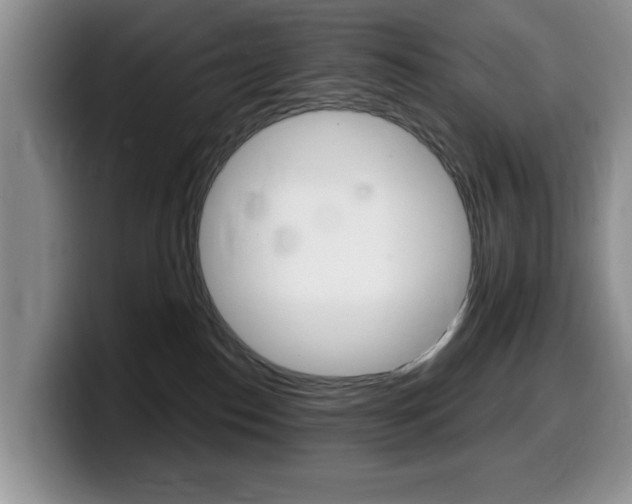 X0000099480186200805090840