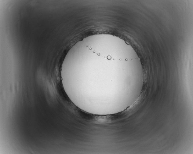 X0000099480187200805090840
