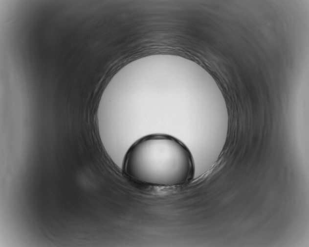 X0000099480188200805090840