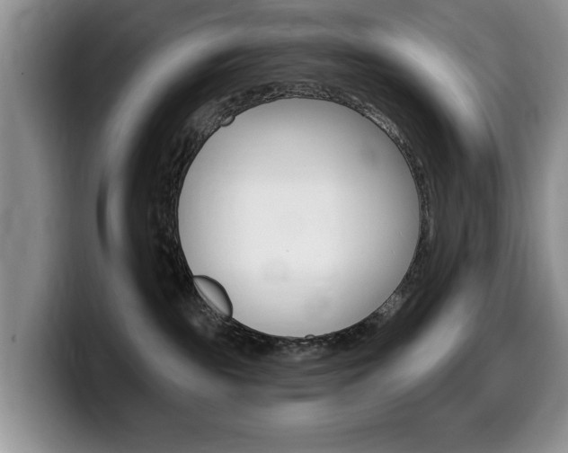 X0000099480189200805090840