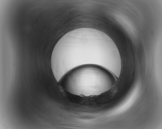 X0000099480190200805090841