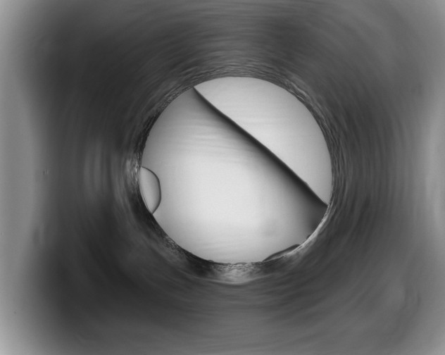 X0000099480191200805090841