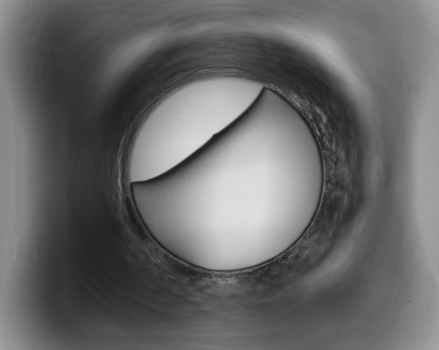 X0000099480194200805090840