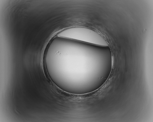 X0000099480195200805090840