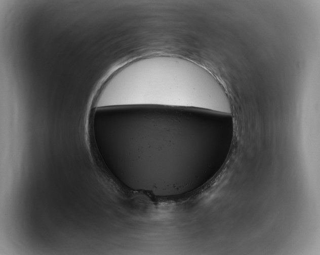 X0000099480196200805090840