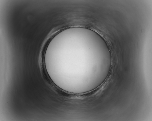 X0000099480198200805090840