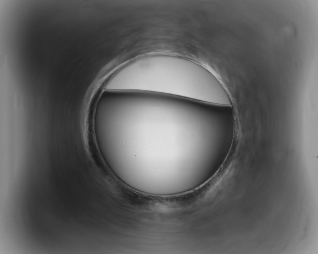 X0000099480199200805090840