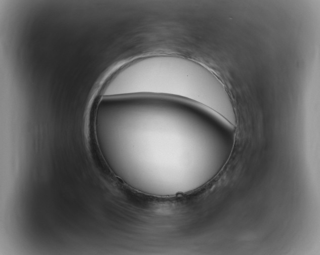 X0000099480200200805090840