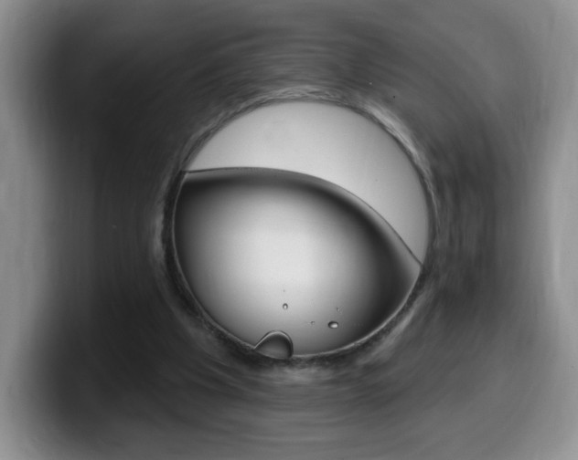 X0000099480201200805090840