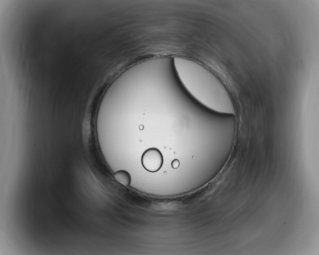 X0000099480202200805090840