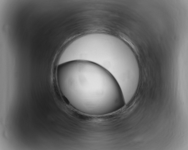 X0000099480203200805090840