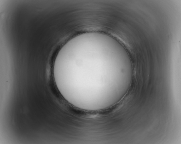 X0000099480206200805090840