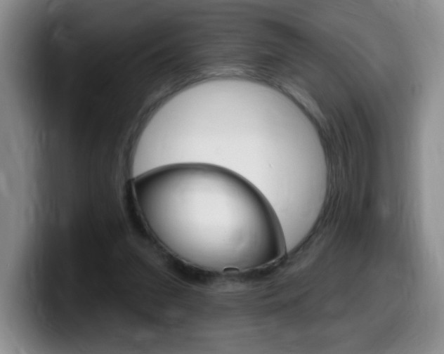 X0000099480207200805090840