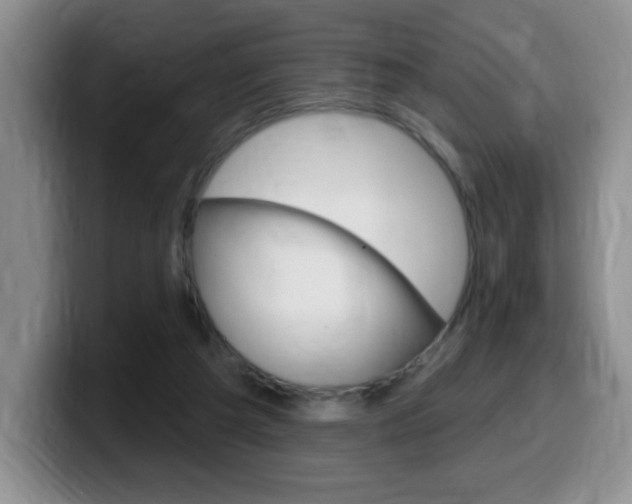 X0000099480209200805090840