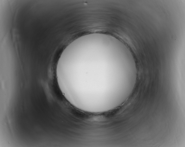 X0000099480210200805090840