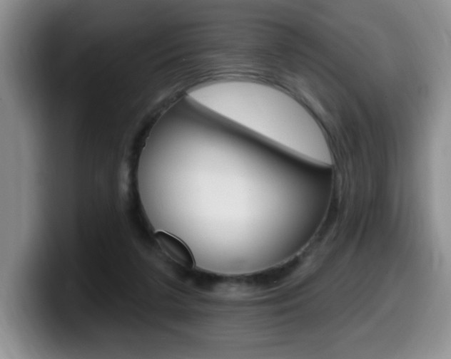 X0000099480211200805090840