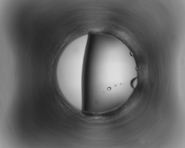 X0000099480212200805090840