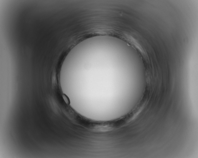 X0000099480213200805090840