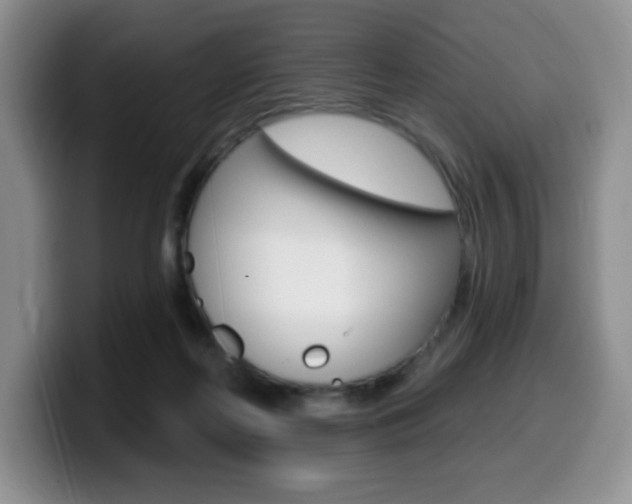 X0000099480214200805090840
