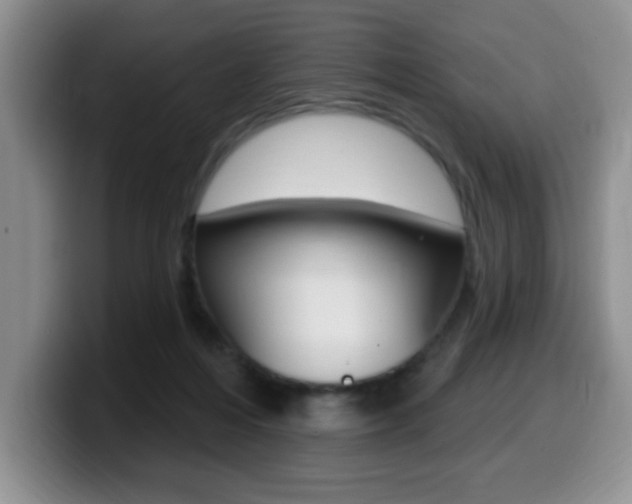 X0000099480216200805090840