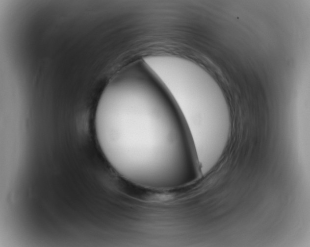 X0000099480217200805090840