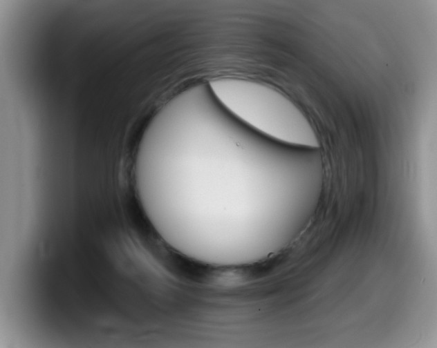 X0000099480218200805090840