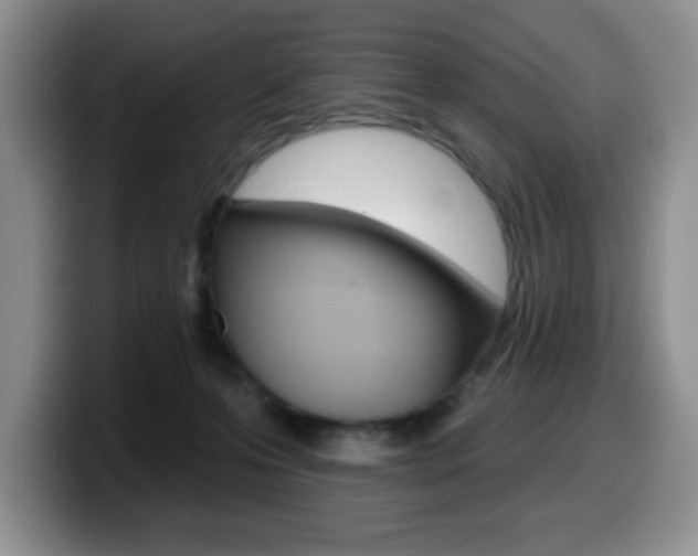 X0000099480223200805090840