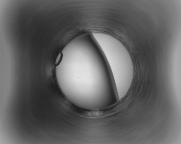 X0000099480225200805090839
