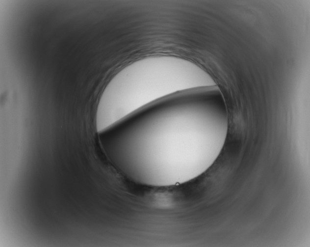 X0000099480228200805090839