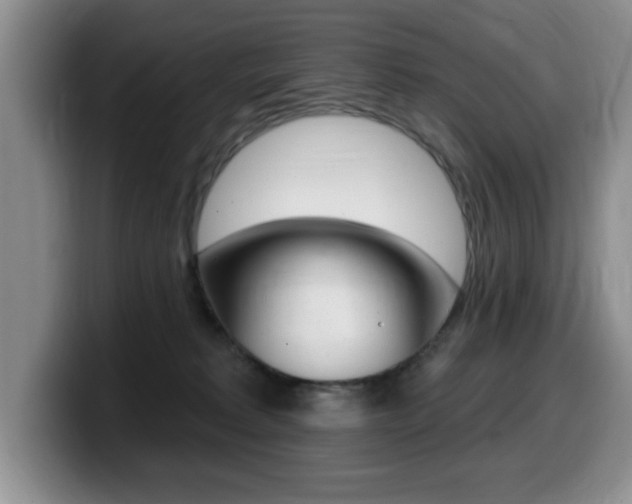 X0000099480229200805090839