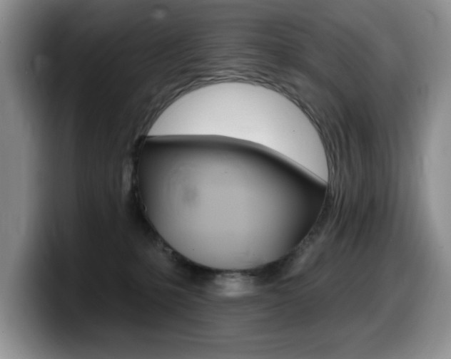 X0000099480231200805090839