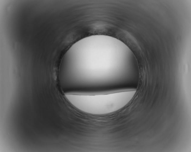 X0000099480232200805090839