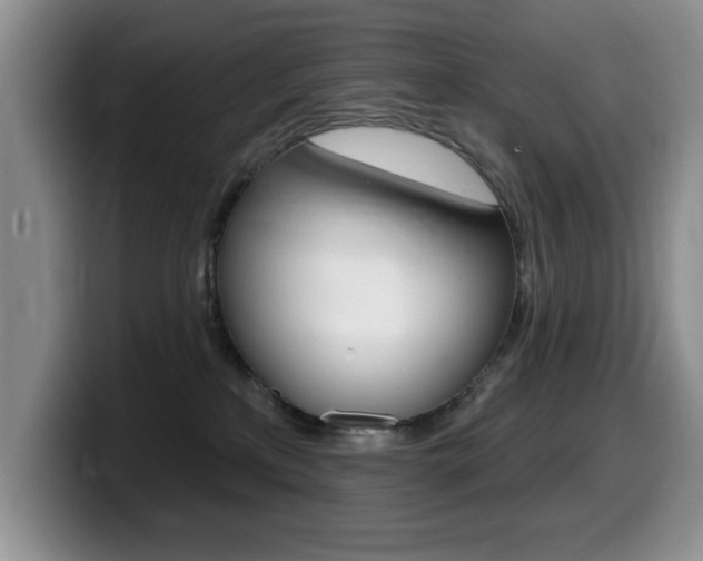 X0000099480233200805090839