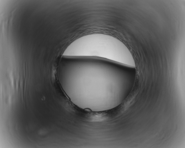 X0000099480235200805090839