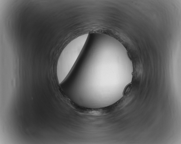 X0000099480236200805090839