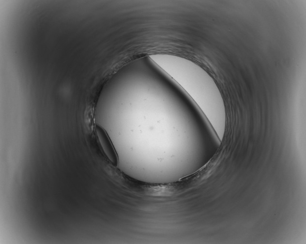 X0000099480237200805090839