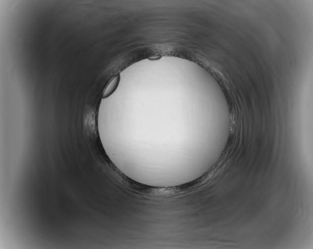 X0000099480238200805090839
