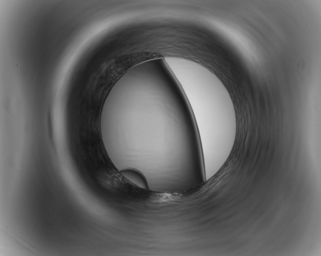 X0000099480239200805090839