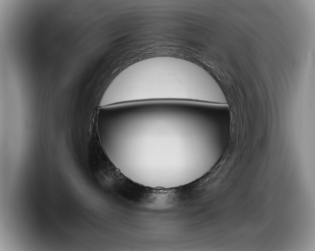 X0000099480240200805090839