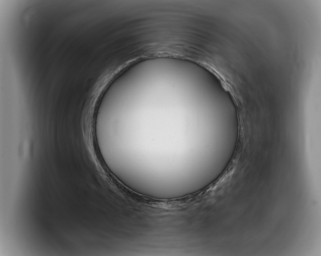 X0000099480241200805090839