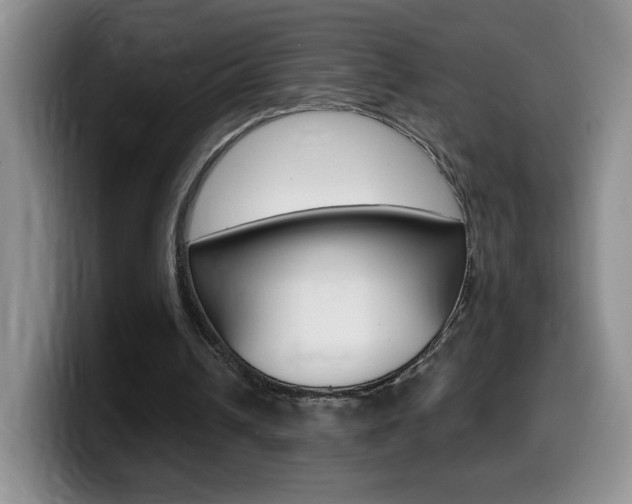 X0000099480242200805090839