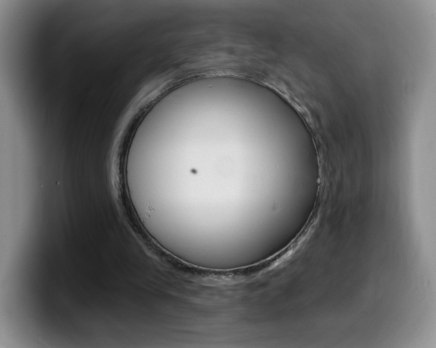 X0000099480245200805090839
