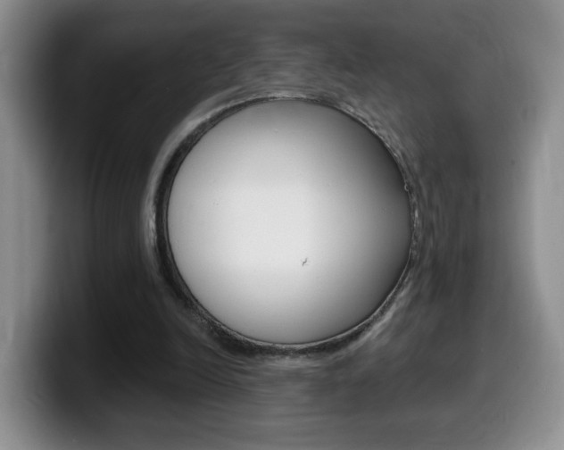 X0000099480246200805090839