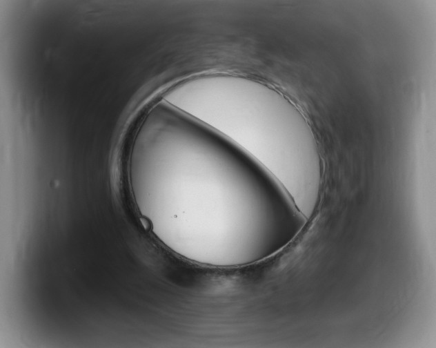 X0000099480247200805090839