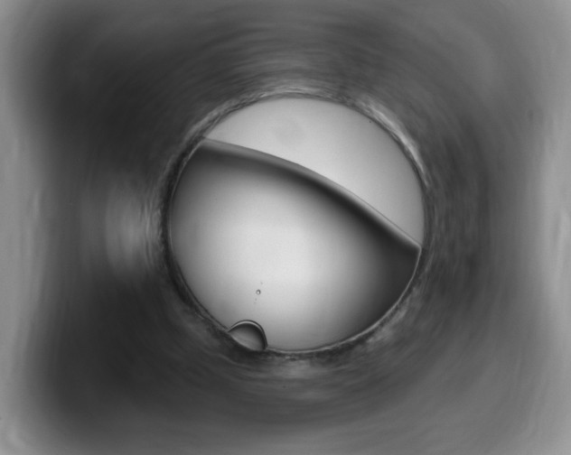 X0000099480249200805090839