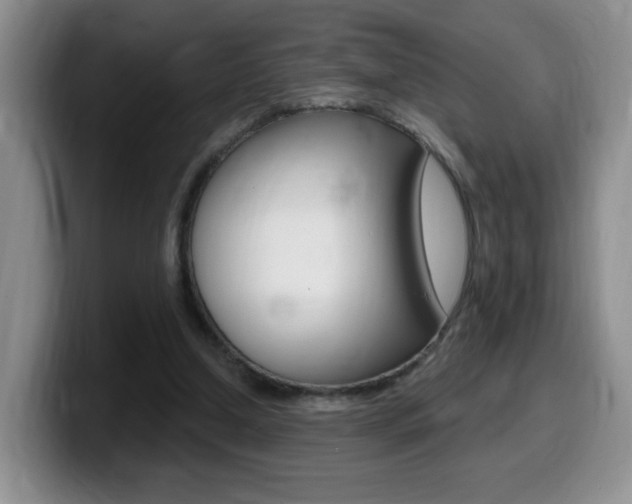 X0000099480250200805090839